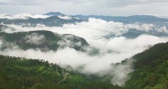 shimla