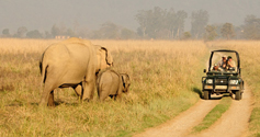 Jim_Corbett