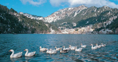 Nainital